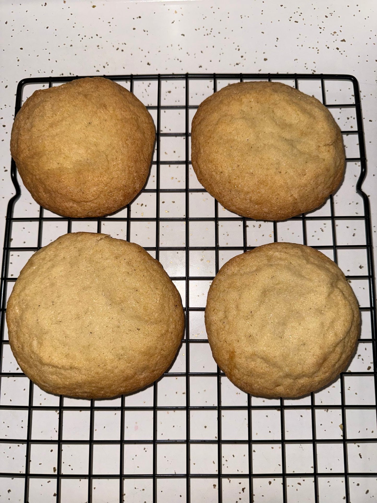 Sugar Cookie